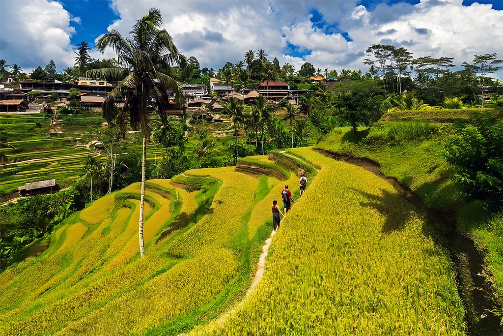 Ubud day trip itinerary from Seminyak
