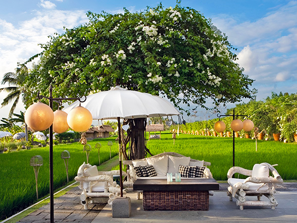 Sardine Restaurant Seminyak - Best Fine Dining in Bali