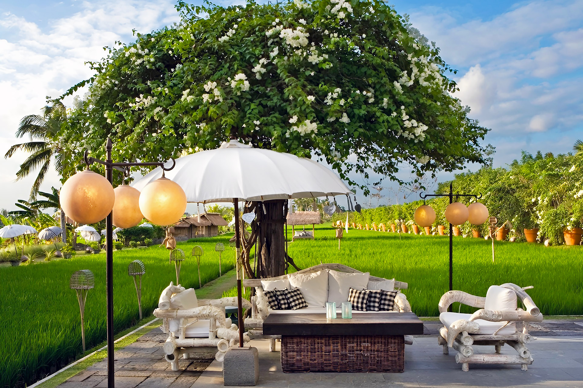 Sardine Restaurant Seminyak - Best Fine Dining in Bali