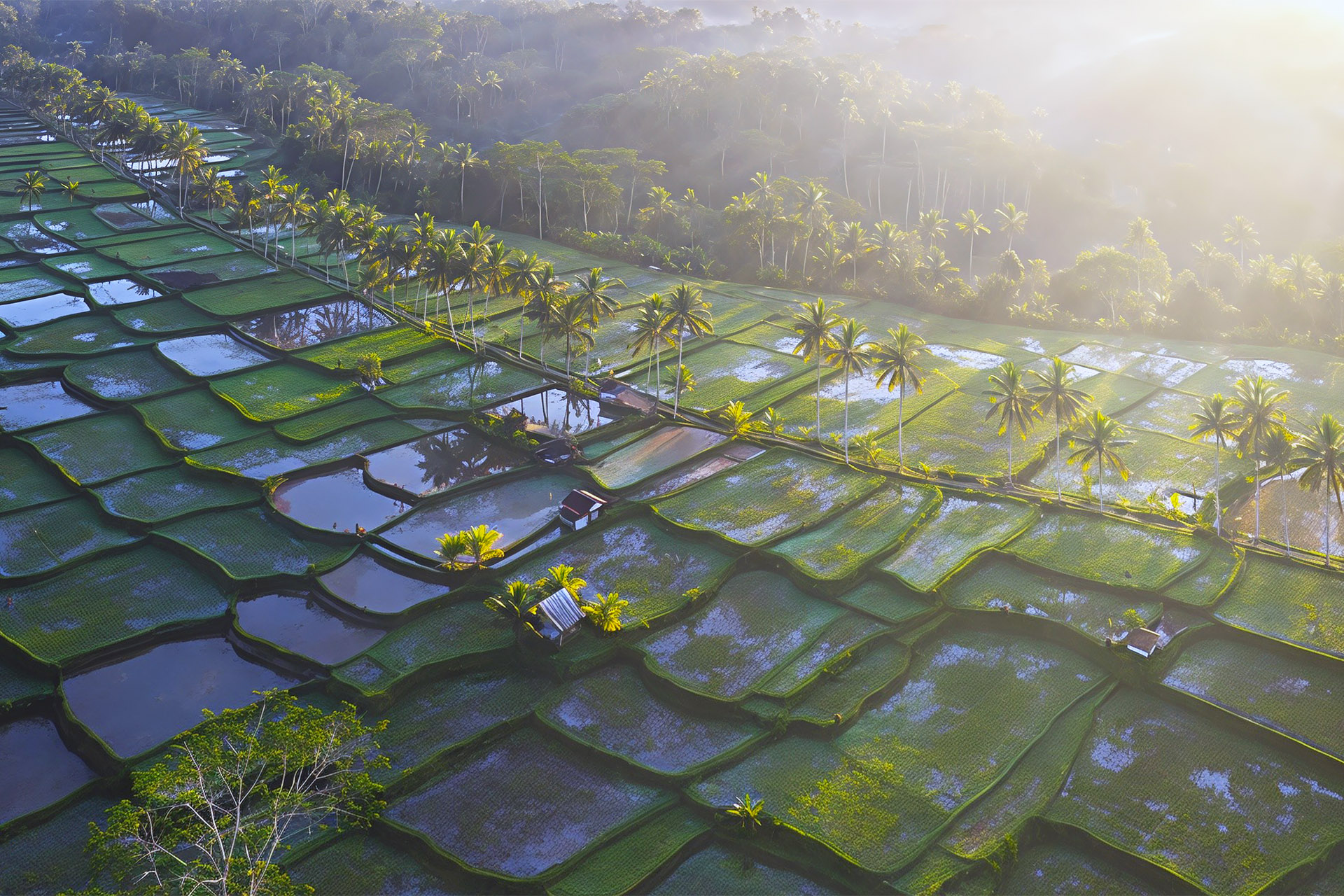 Ubud vs Seminyak: Which Fits Your Villa Stay Better? Ubud vs Seminyak: Which Fits Your Villa Stay Better?